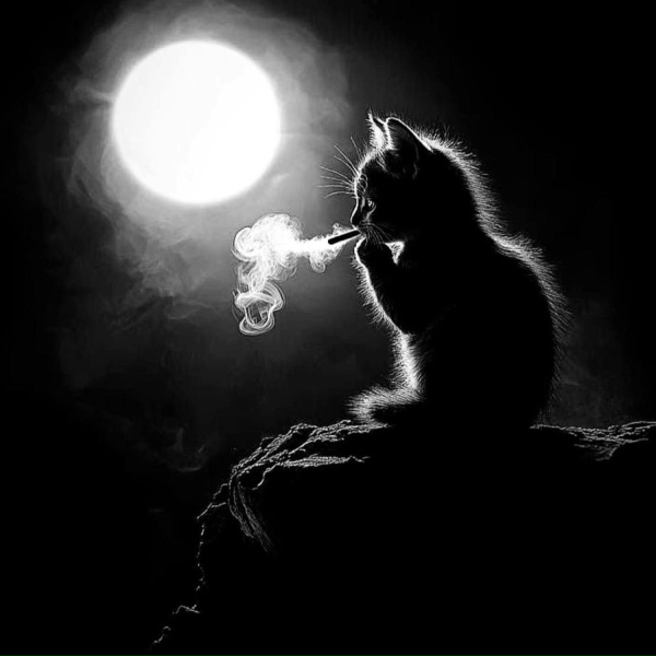 Обложка: dj xsex - Self Aware Mix