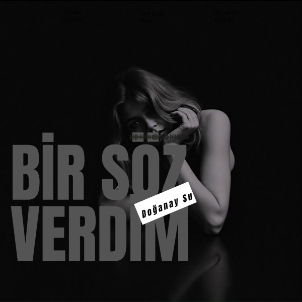 Обложка: Doğanay Su - Çalın Davulları