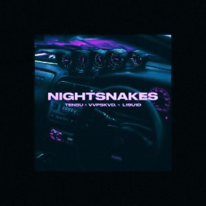 Обложка: TENSU, vvpskvd., L19U1D - Nightsnakes