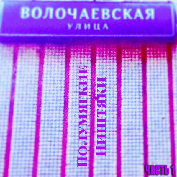 Обложка: Полумягкие feat. Заги Бок - Voter