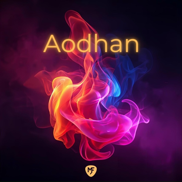Обложка: Lorena Mannone - Aodhan