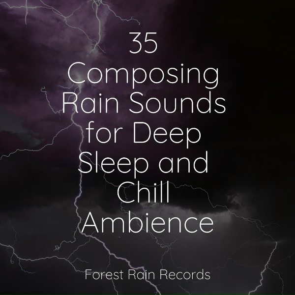 Обложка: Dr. Meditation, Música Zen Relaxante, Rain - Wind, Rustling, Trees, Vegetation