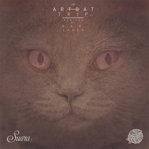 Обложка: ARTBAT - Wall
