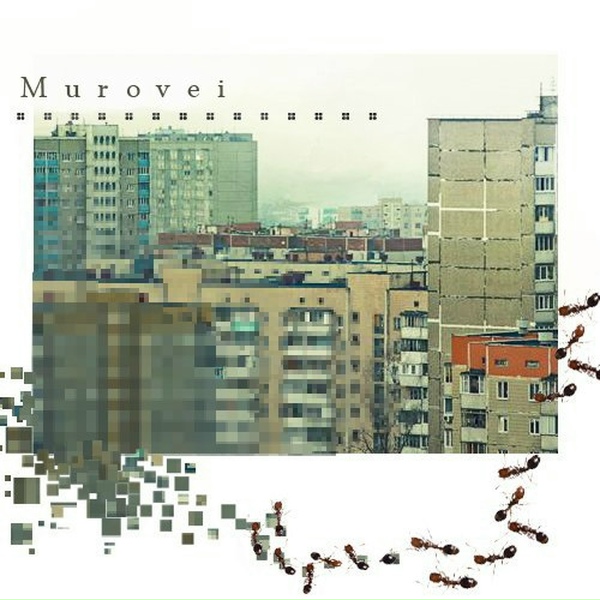 Обложка: Murovei - Маг