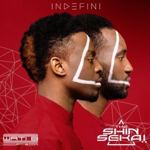 Обложка: The Shin Sekaï - Ma Jolie
