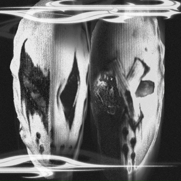 Обложка: PlasticSkin - Sacrifice from Your Eyes