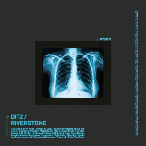 Обложка: DITZ - Riverstone