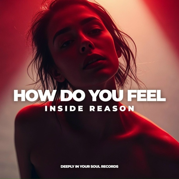 Обложка: Inside Reason - How Do You Feel