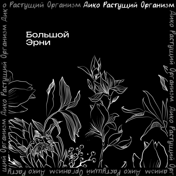 Обложка: Большой Эрни - Значение имеет всё
