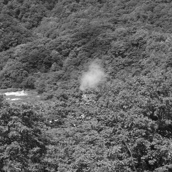 Обложка: Taquwami - Mikai