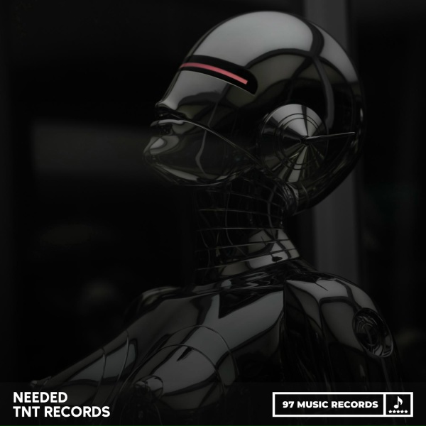 Обложка: TNT Records - Needed