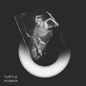 Обложка: Turtle - Elephant