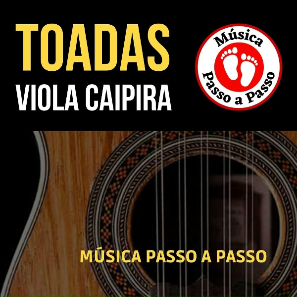 Обложка: Música Passo a Passo - Chico Mineiro