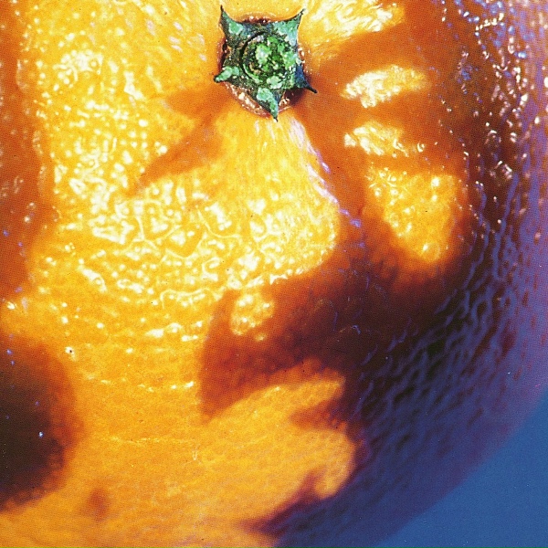 Обложка: Phish - The Mango Song