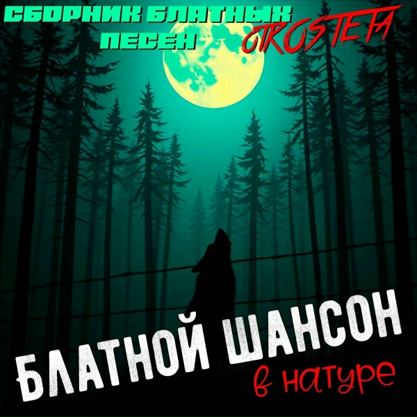 Обложка: КОСТЕТ - Ша!