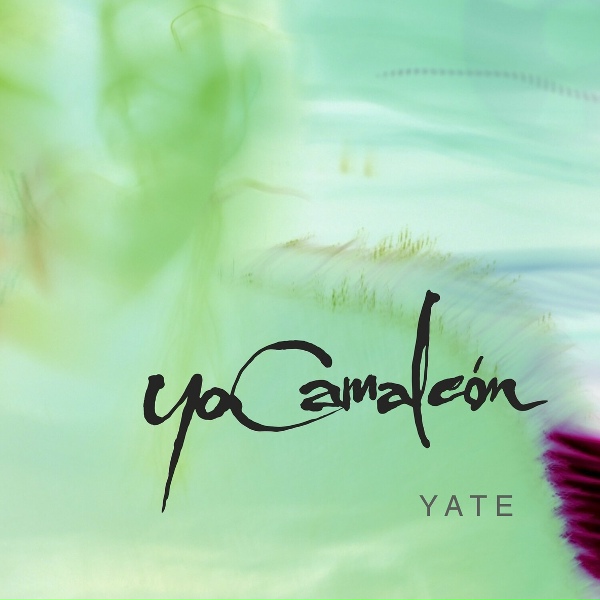 Фото: Yo Camaleón