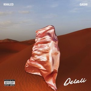 Обложка: Khaled, Gashi - Delali
