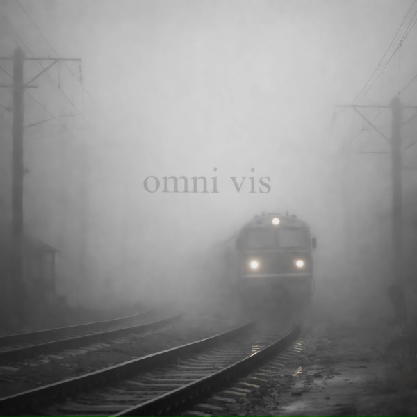 Обложка: txoko - Omni vis