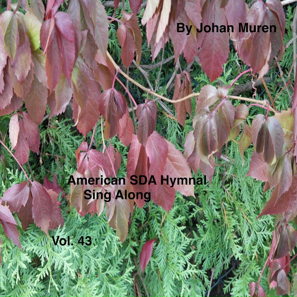 Обложка: Johan Muren - Lord of All Good