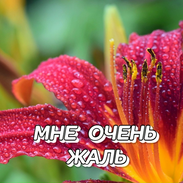 Обложка: Сергей Грищук - Сентябрь