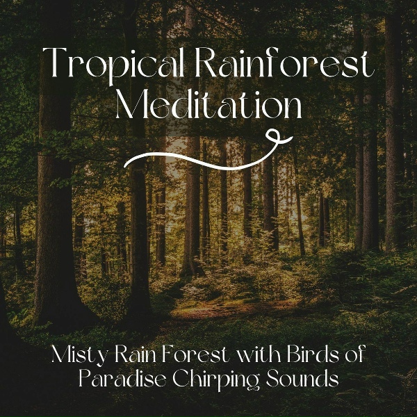 Обложка: Rainforest Music Lullabies Ensemble - Healing Journey