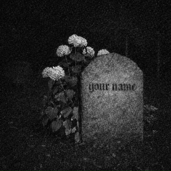 Обложка: graur - absence has a name