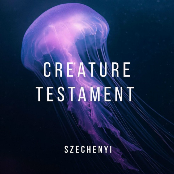 Обложка: Széchenyi - Vanishing Kindness