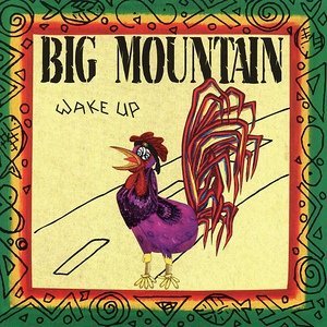 Обложка: Big Mountain - Once Again