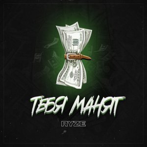 Обложка: RYZE - Тебя манят