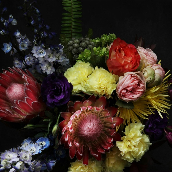 Обложка: Cold Cave - Happy Birthday Dark Star