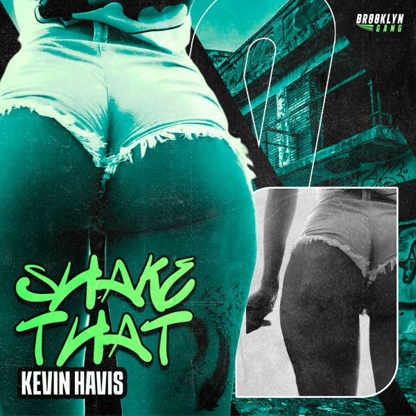 Обложка: Kevin Havis - Shake That