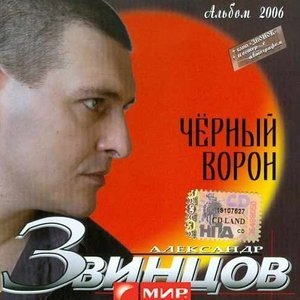 Обложка: Звинцов Александр - В Самаре у друзей