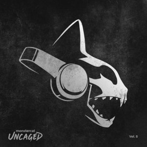 Обложка: Falcon Funk, Bossfight - Comeback