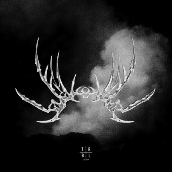Обложка: N!GHTvisiøn, DudePlaya - THE VOID (Ultra Slowed)