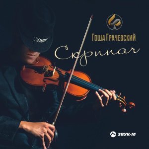 Обложка: Гоша Грачевский - Скрипач
