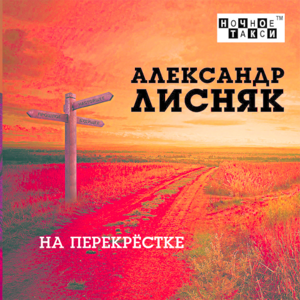 Обложка: Александр Лисняк - Случайная прохожая