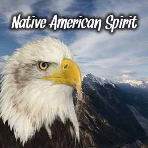 Обложка: Indian Calling - Native American Spirit