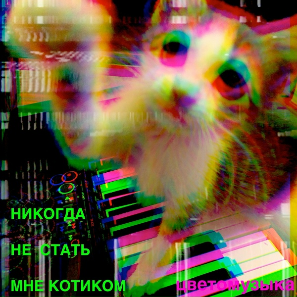 Фото: Цветомузыка