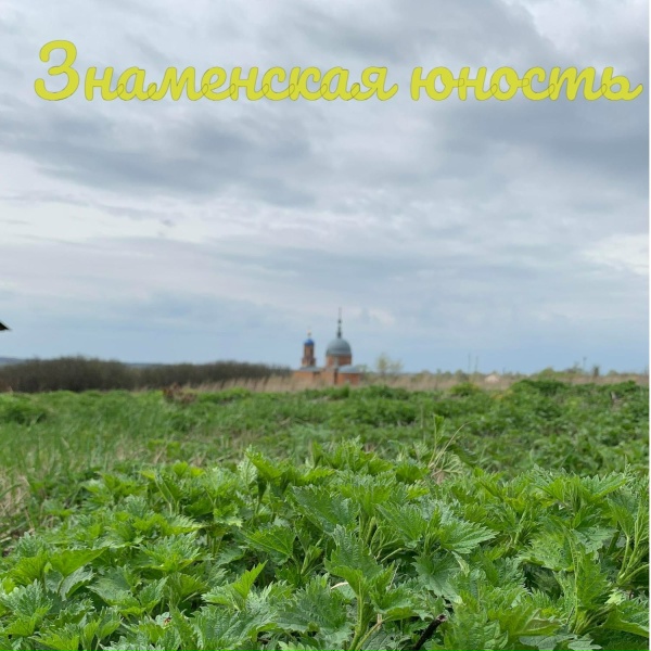 Обложка: Pavel58 - Знаменская юность