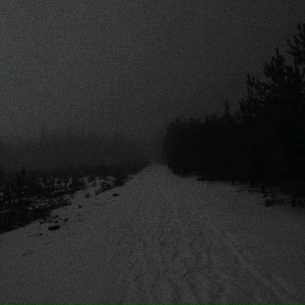 Обложка: itgmq leto - And I need you now tonight
