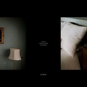 Обложка: echos - guest room