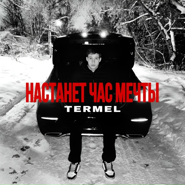 Обложка: Termel - Настанет час мечты