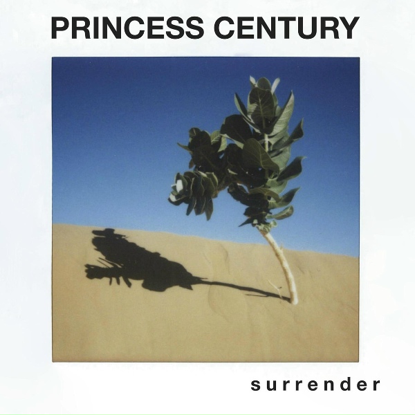 Обложка: Princess Century - Stupid Things Feat. Fragrance