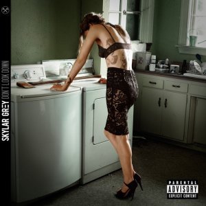 Обложка: Skylar Grey - Coming Home