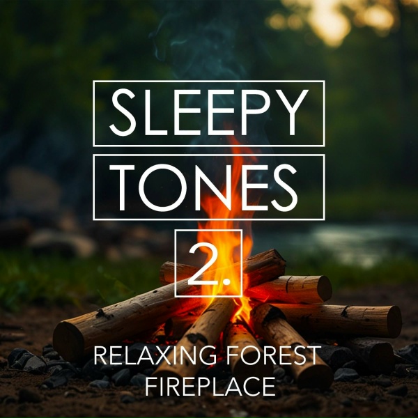 Обложка: Jason Rivers - Relaxing Forest Fireplace, Pt. 13