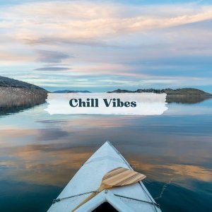 Обложка: LO-FI BEATS - Stillness in Motion