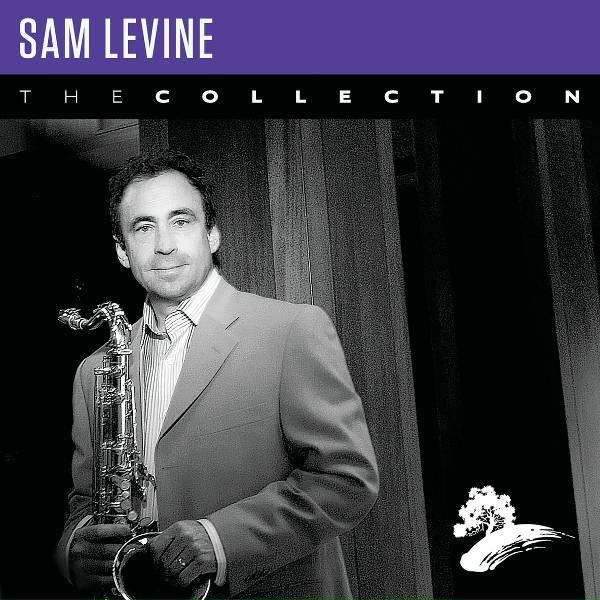 Обложка: Sam Levine - The Wind Beneath My Wings