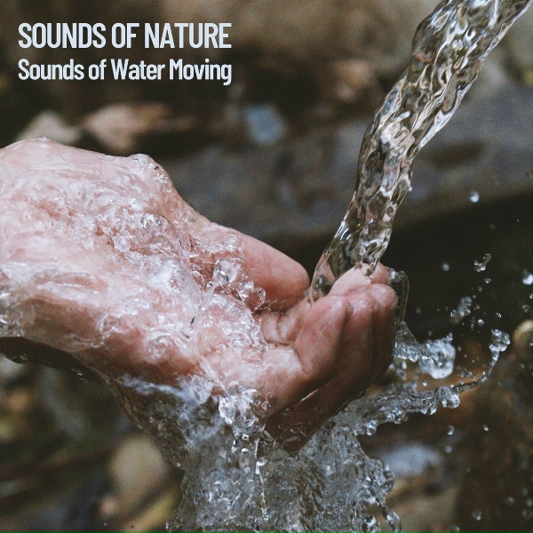 Обложка: Deep Sleep Music Collective, Sleeping Music, Dog Music Experience - Soft River Splash