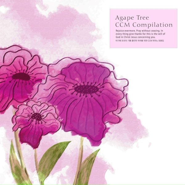 Обложка: Shin Areum - I Will Go To The End