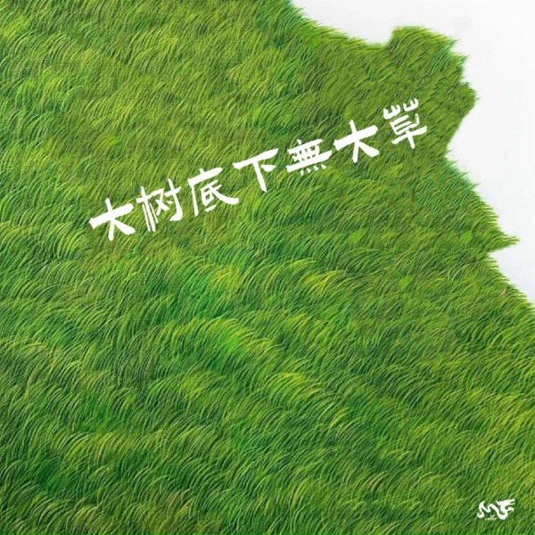 Обложка: 社长 - 大树底下无大草
